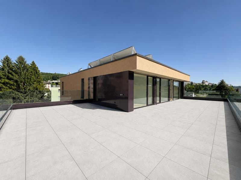 Appartement attique moderne 3.5 pièces à Aarburg (7)