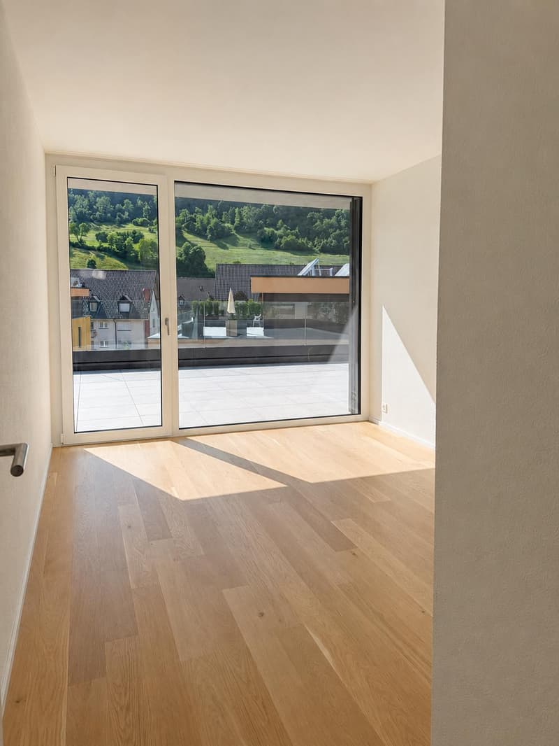Appartement attique moderne 3.5 pièces à Aarburg (3)