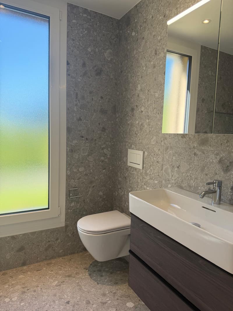 Appartement attique moderne 3.5 pièces à Aarburg (6)