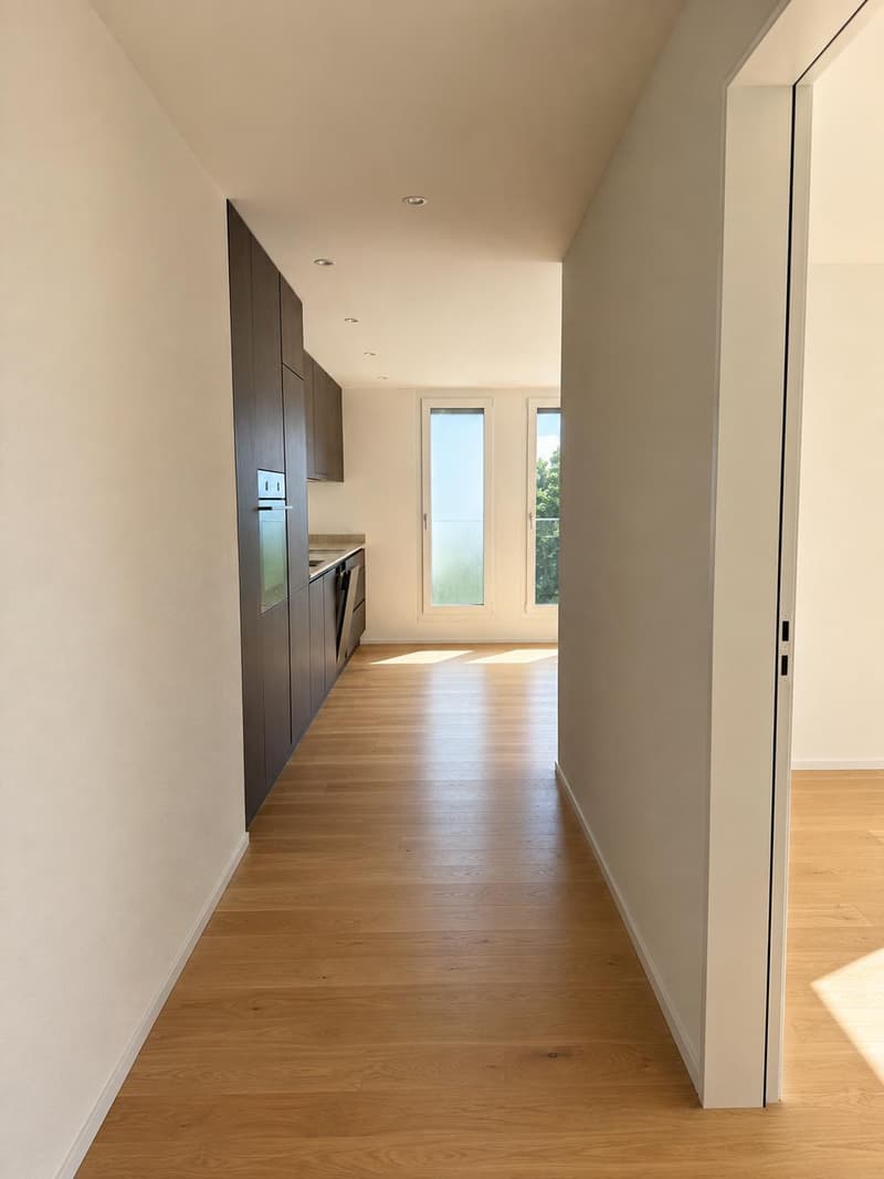 Appartement attique moderne 3.5 pièces à Aarburg (2)