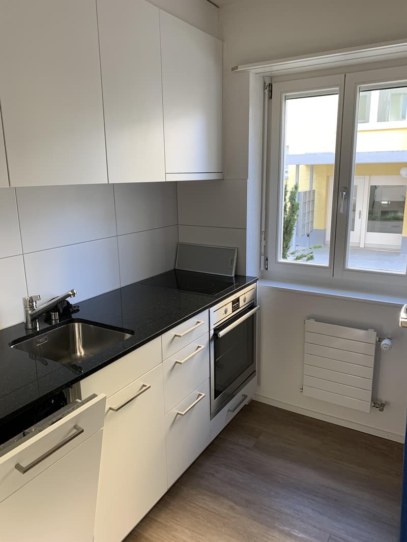 Charmante 1.5-Zimmerwohnung in Zürich! (4)