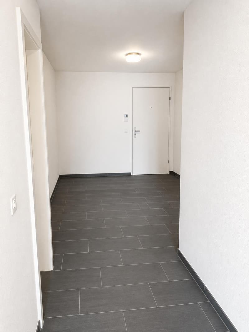 Appartamento luminoso e moderno di 2 locali con balcone a Escholzmatt (5)