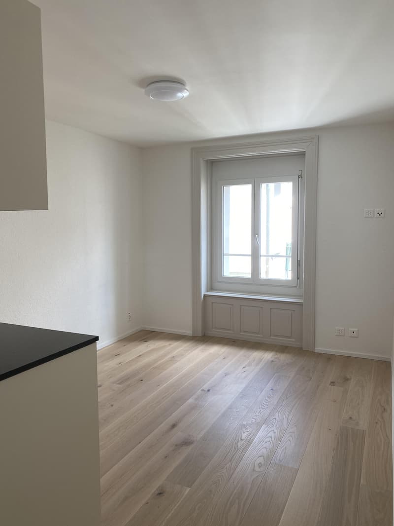 Appartement single charmant au cœur de Zurich Kreis 4, parfait pour les amoureux de la ville ! (3)