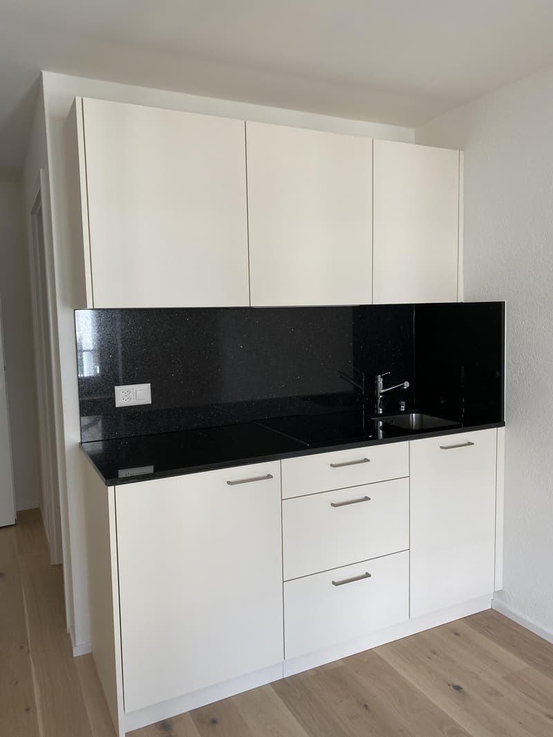 Appartement single charmant au cœur de Zurich Kreis 4, parfait pour les amoureux de la ville ! (2)