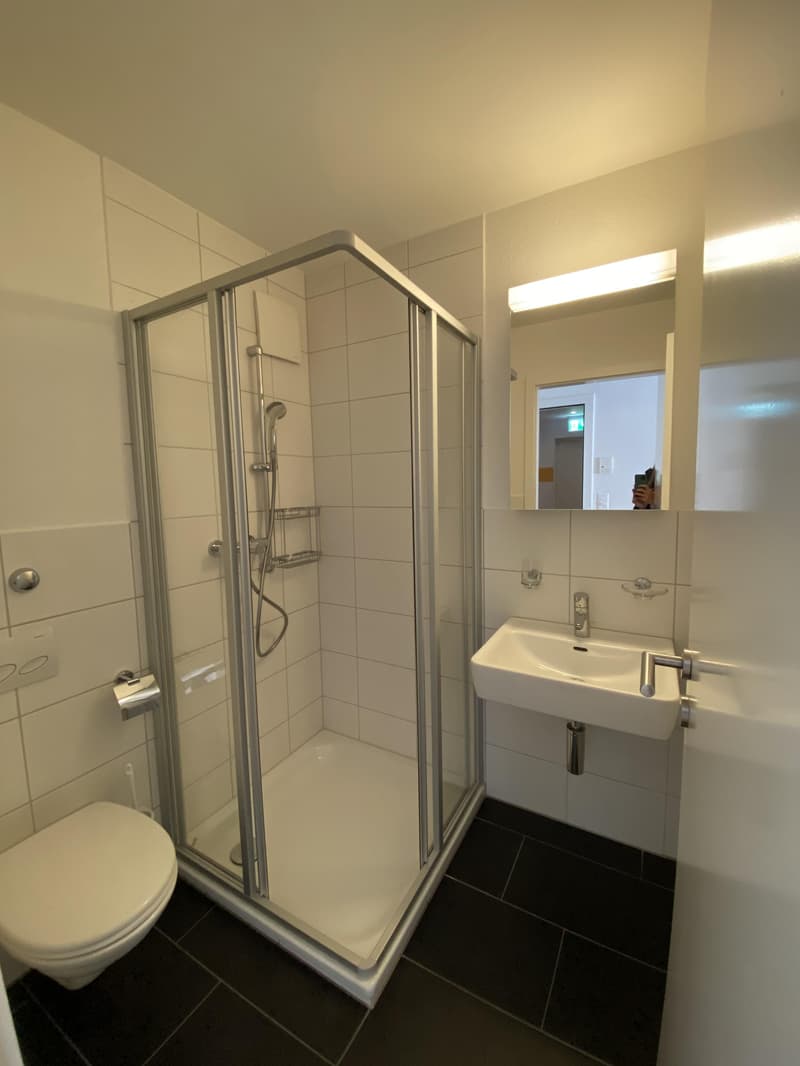 Appartement single charmant au cœur de Zurich Kreis 4, parfait pour les amoureux de la ville ! (4)