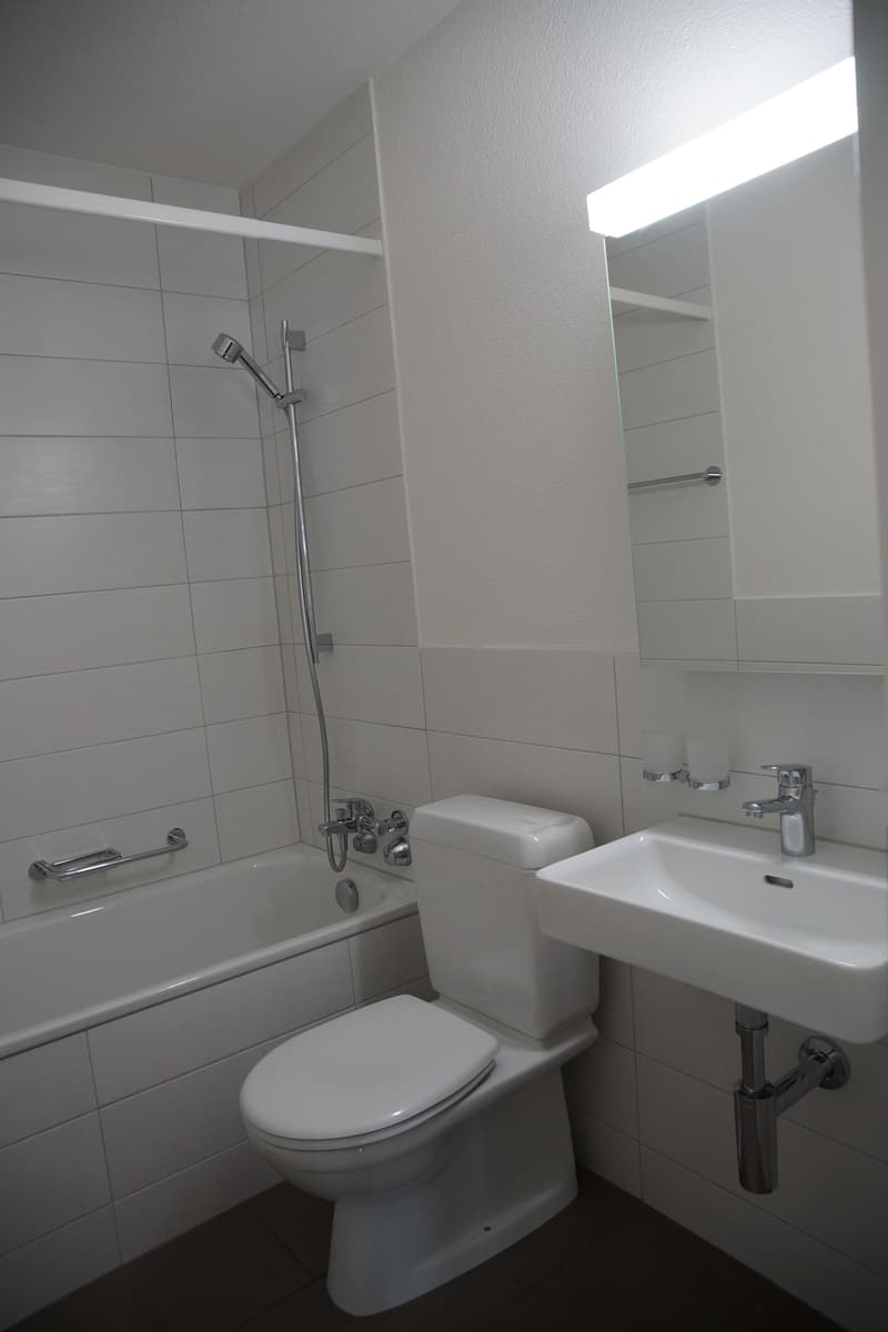 Appartement 2 pièces centré au quartier 4 à louer ! (5)