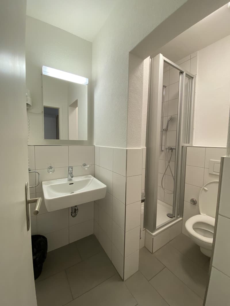 Klein, ruhig und dennoch zentral in Oerlikon (4)