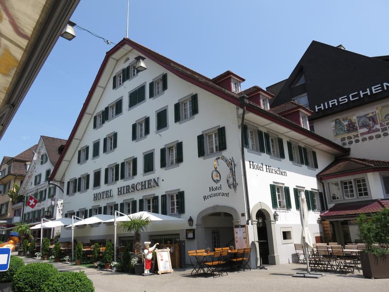 Gemütliche 1-Zimmer-Wohnung in Küssnacht am Rigi möbliert & zentral (1)