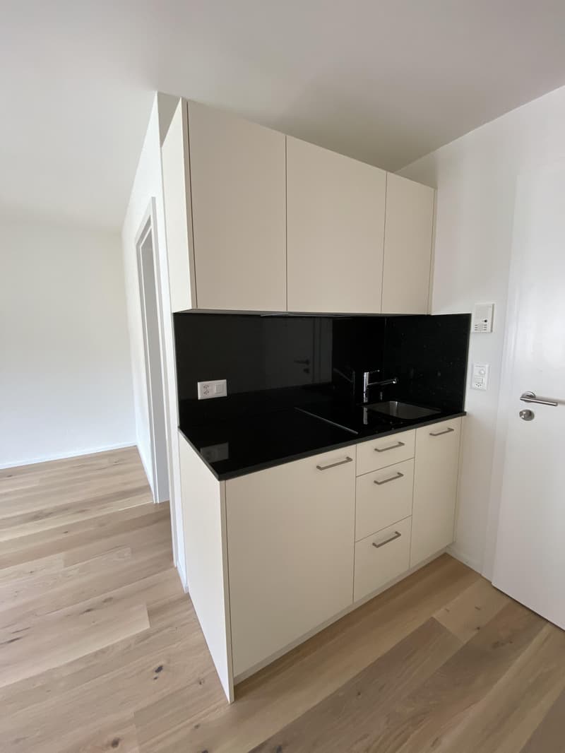 Appartamento singolo affascinante nel cuore di Zurigo Distretto 4, perfetto per gli amanti della città! (3)