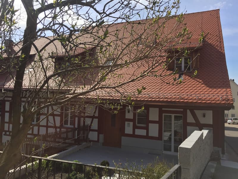 Chramante 1-Zimmerwohnung im Herzen von Glattfelden! (1)
