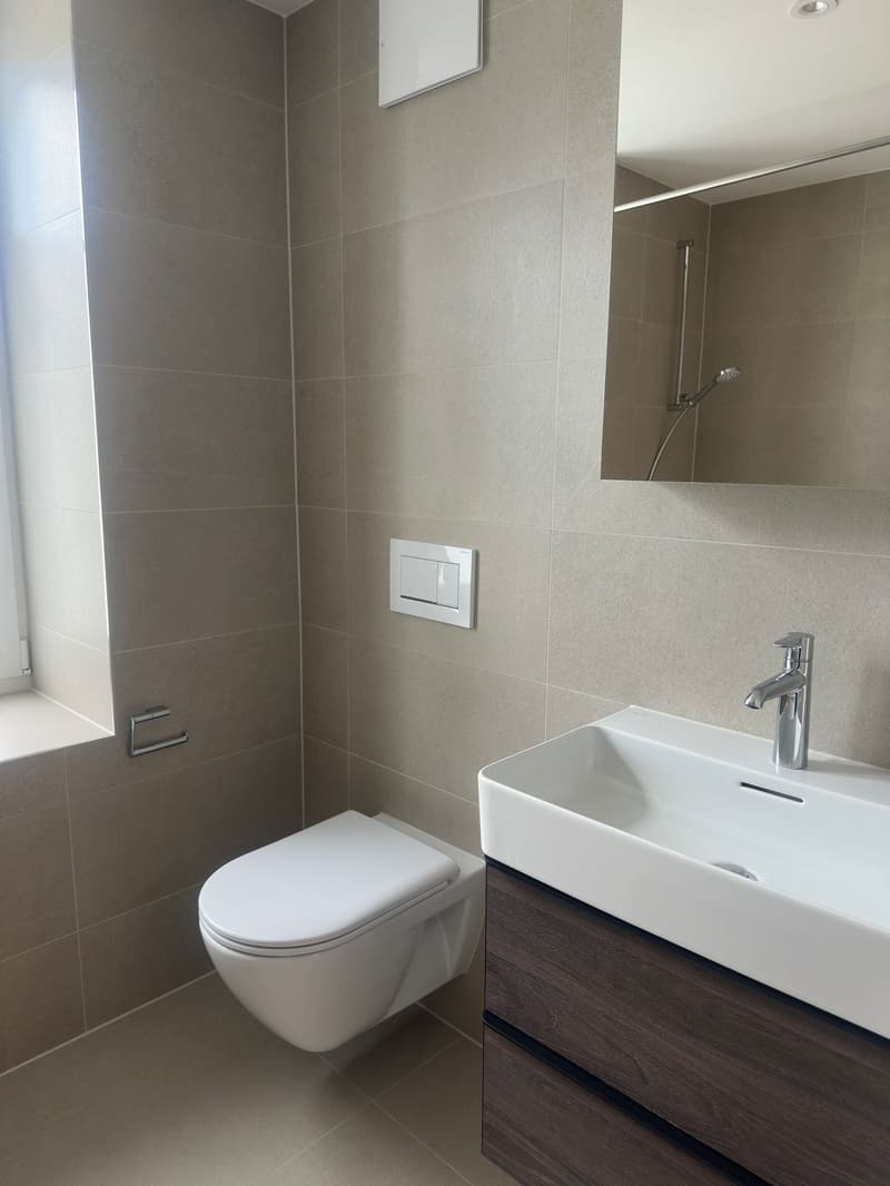 Sanierte 3.5-Zimmer-Wohnung in Dietikon zu vermieten! (7)