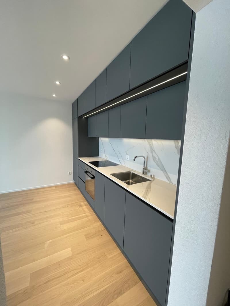 Moderne 2.5-Zimmer-Wohnung in Horgen Zentral & Seenah (2)