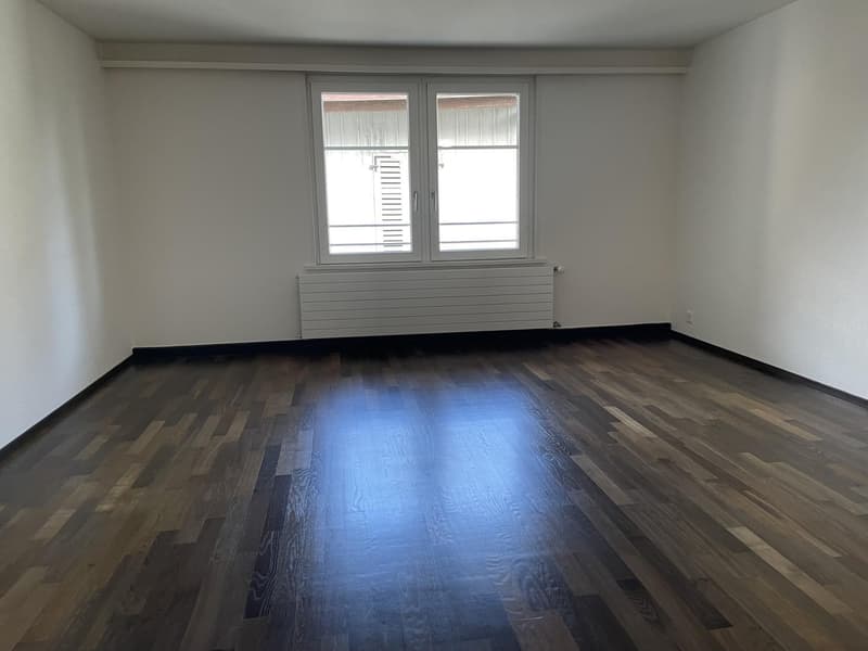 1 ½ Zimmer-Wohnung, 8330 Pfäffikon ZH (3)