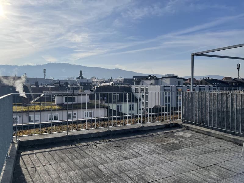 1 Zimmer-Attikawohnung, 8004 Zürich (5)