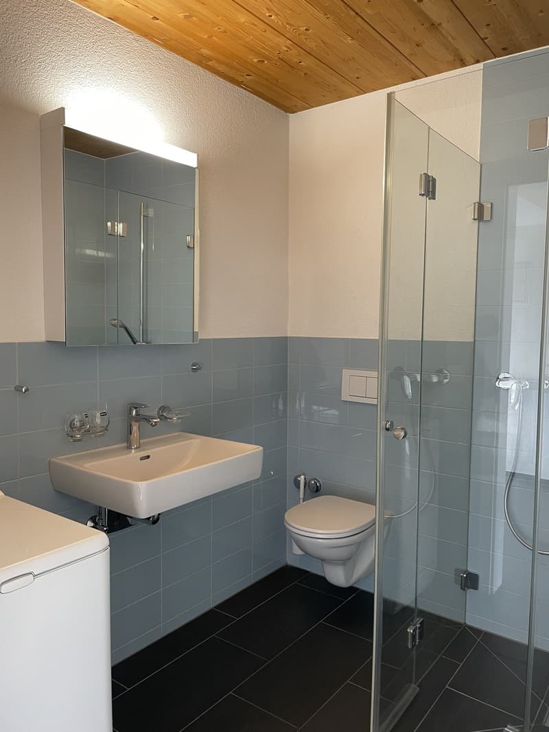 1 Zimmer-Attikawohnung, 8004 Zürich (4)