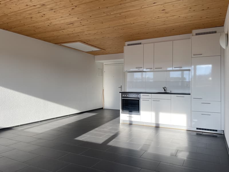 1 Zimmer-Attikawohnung, 8004 Zürich (2)