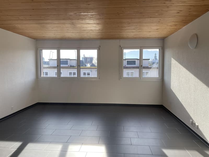 1 Zimmer-Attikawohnung, 8004 Zürich (3)