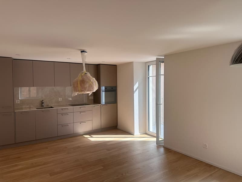 Sanierte 3.5-Zimmer-Wohnung in Dietikon zu vermieten! (4)