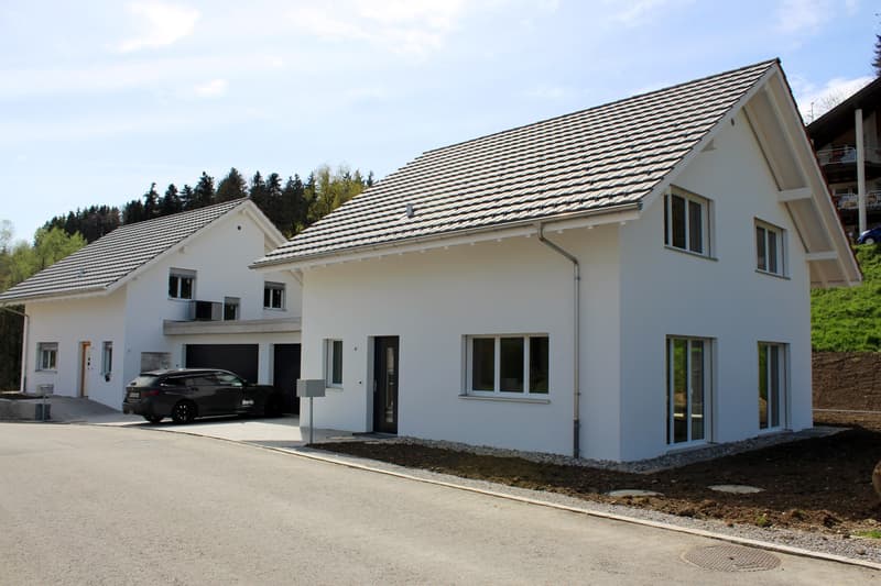 Neubau Einfamilienhaus am Öölbärg Haus C (4)