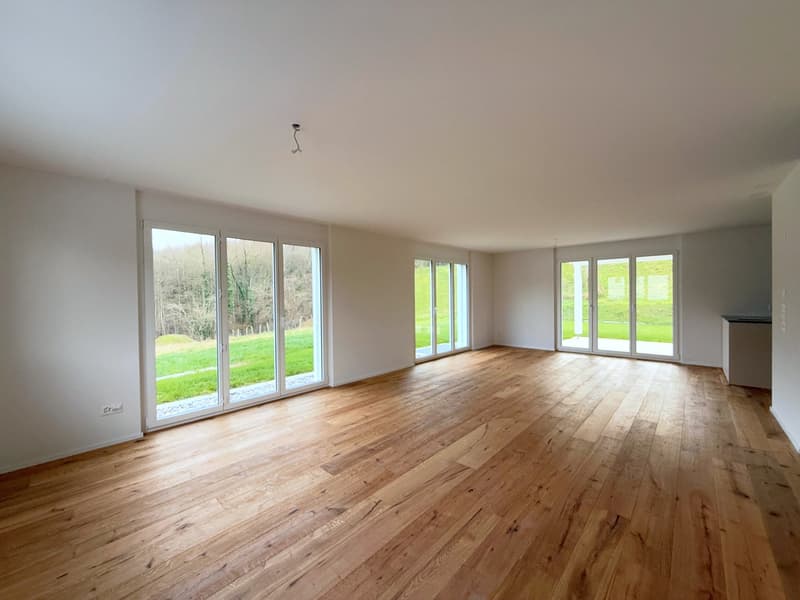 Neubau Einfamilienhaus am Öölbärg Haus C (7)