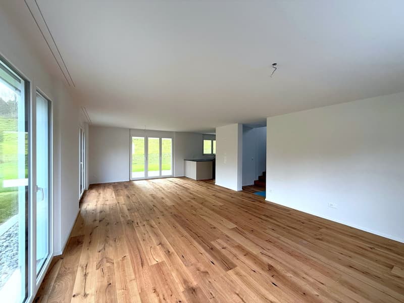 Neubau Einfamilienhaus am Öölbärg  Haus D (7)