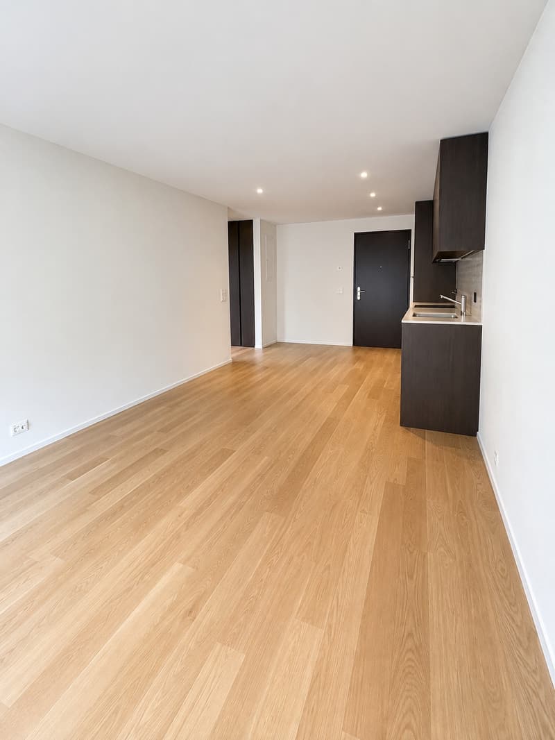 2 ½ Zimmer-Wohnung, 4663 Aarburg (3)