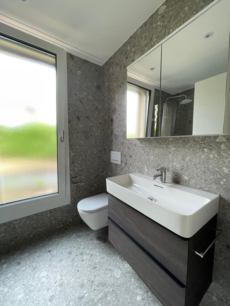 2 ½ Zimmer-Wohnung, 4663 Aarburg (8)