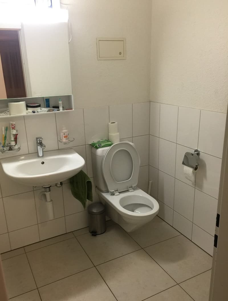 2 ½ Zimmer-Wohnung, 8004 Zürich (5)