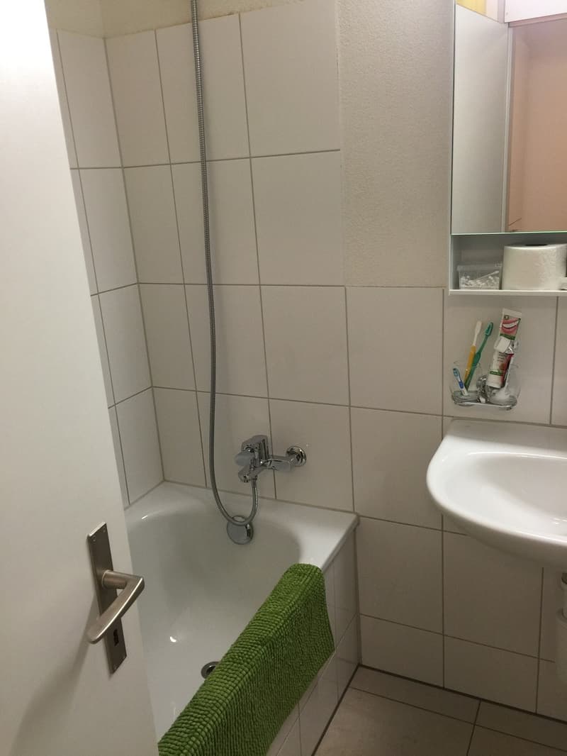 2 ½ Zimmer-Wohnung, 8004 Zürich (4)