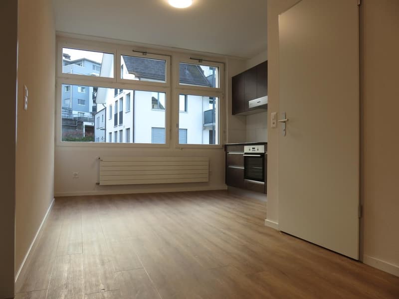 Sanierte 2.-Zimmer-Wohnung an zentraler Lage in Küssnacht am Rigi! (2)