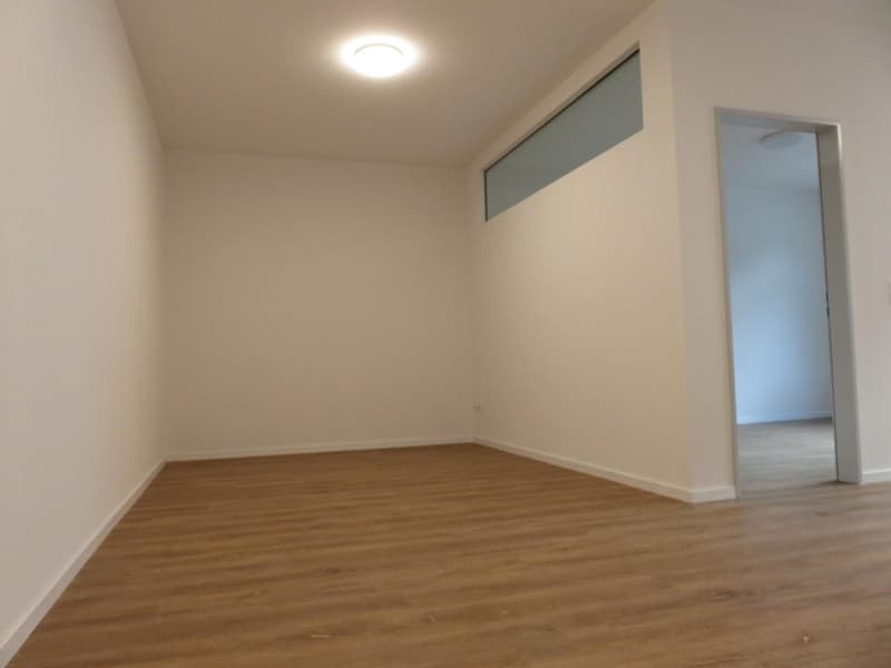 Sanierte 2.-Zimmer-Wohnung an zentraler Lage in Küssnacht am Rigi! (3)