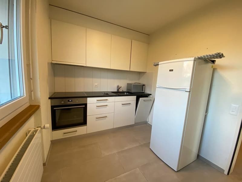 Chramante 2-Zimmerwohnung im Herzen von Oerlikon! (3)