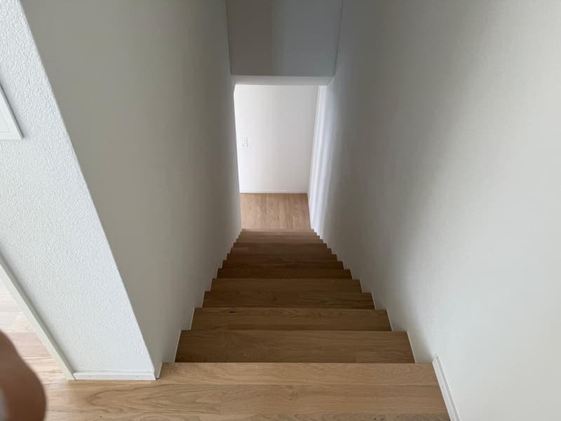Neubau-Reihenhaus mit moderner 3.5-Zimmer-Maisonette-Wohnung! (6)