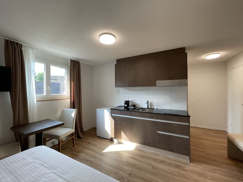 Möblierte 1-Zimmer-Wohnung an zentraler Lage in Küssnacht am Rigi! (2)