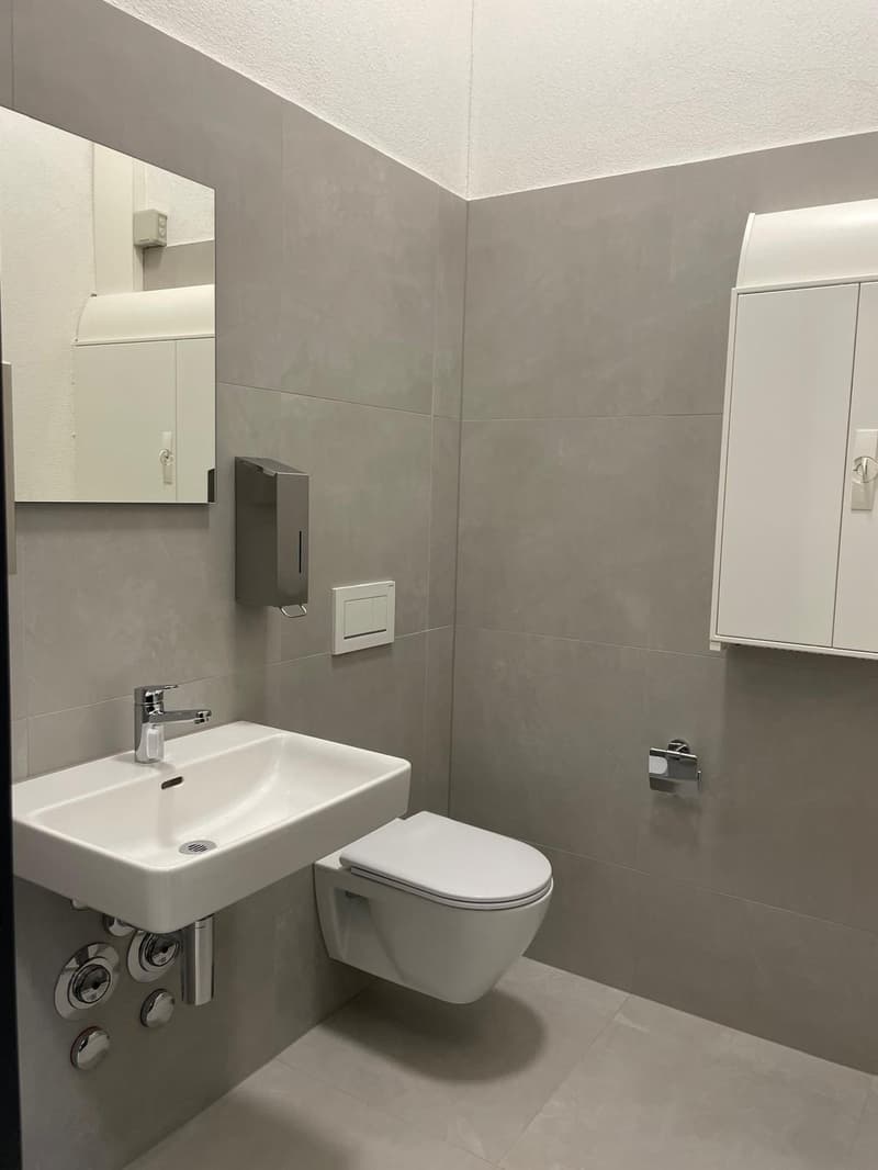 Büro-/Gewerberaum in Winterthur grosszügig, modern und flexibel nutzbar (4)