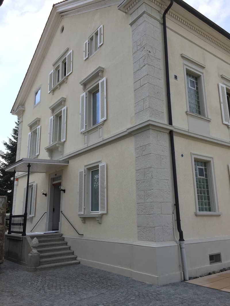 Exklusive 4.5-Zimmerwohnung in sanierter Villa! (1)