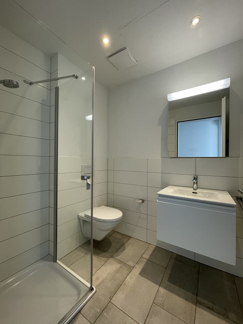 Ihr neues Zuhause in Zürich-Seebach - verfügbar per sofort! (5)