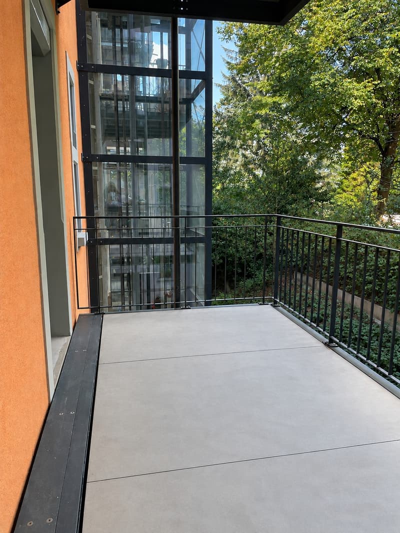 Frisch renovierte Wohnung an zentraler Lage in Zürich-Wipkingen (4)