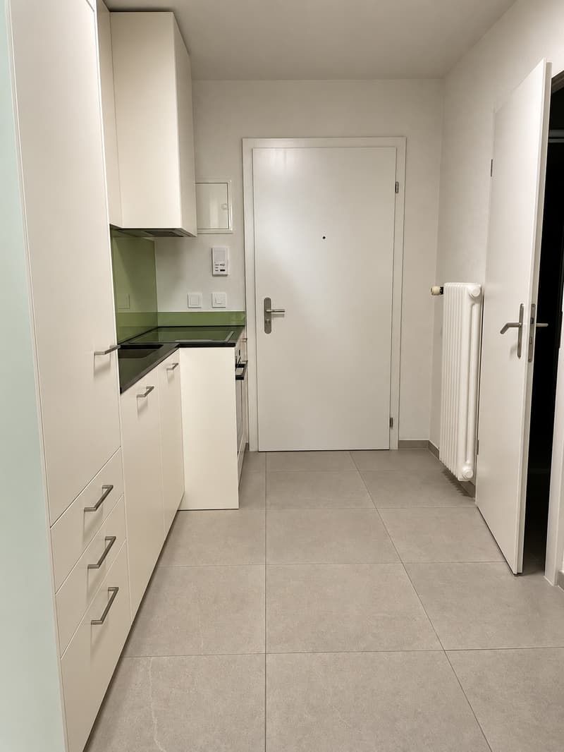 Frisch renovierte Wohnung an zentraler Lage in Zürich-Wipkingen (2)