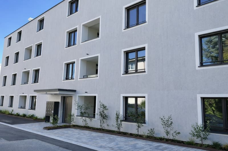 Moderne und helle Wohnung mit grosszügiger Dachterrasse in Aadorf (1)