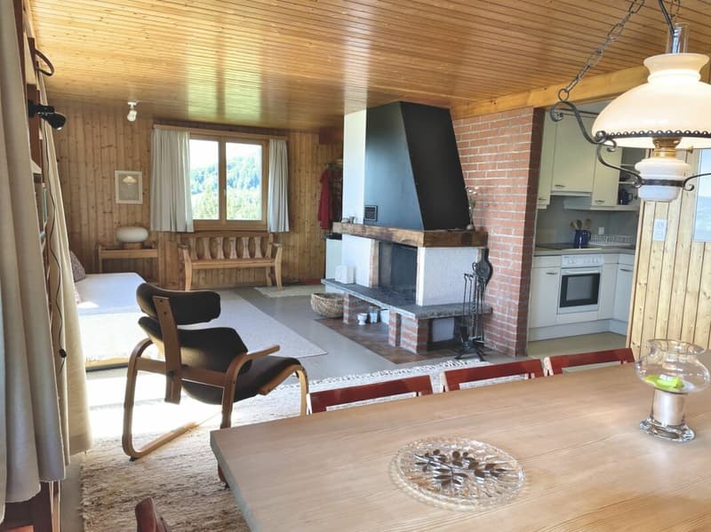 Your personal paradise: holiday home with breathtaking lake and mountain panorama (12)