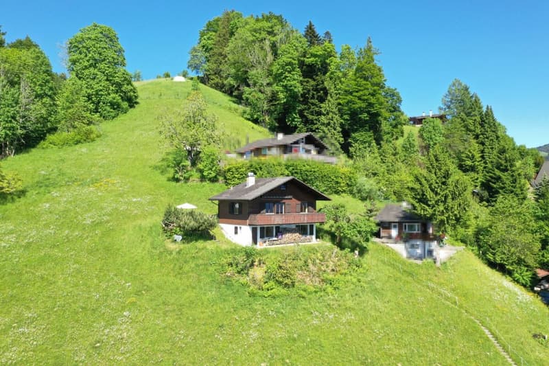 Your personal paradise: holiday home with breathtaking lake and mountain panorama (3)