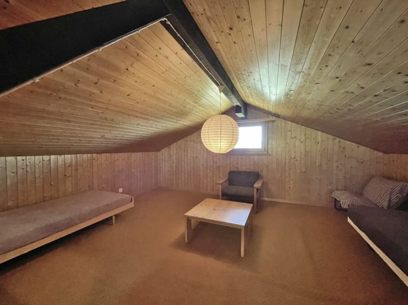 Your personal paradise: holiday home with breathtaking lake and mountain panorama (19)