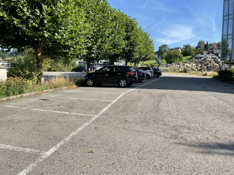 53 m2 Büro-/Praxisraum vielseitig nutzbar (10)