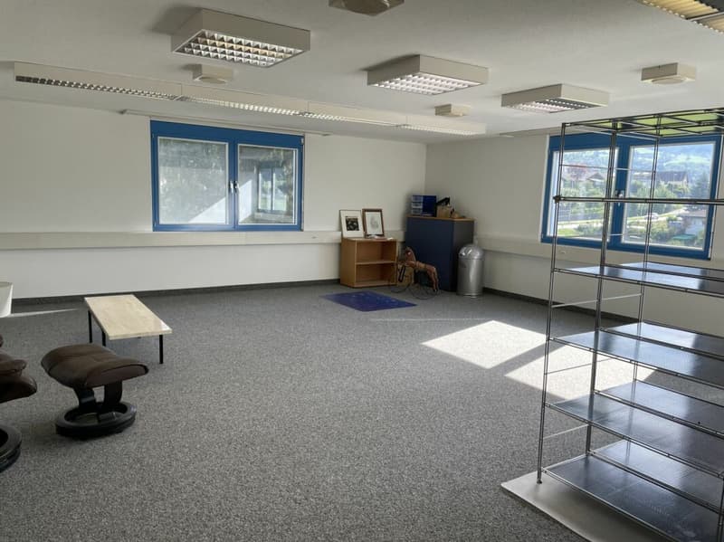 53 m2 Büro-/Praxisraum vielseitig nutzbar (2)