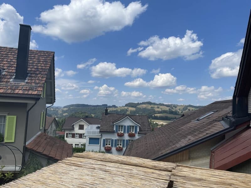 Totally renovated, stylish 3.5-room apartment in the center of Mogelsberg (8)