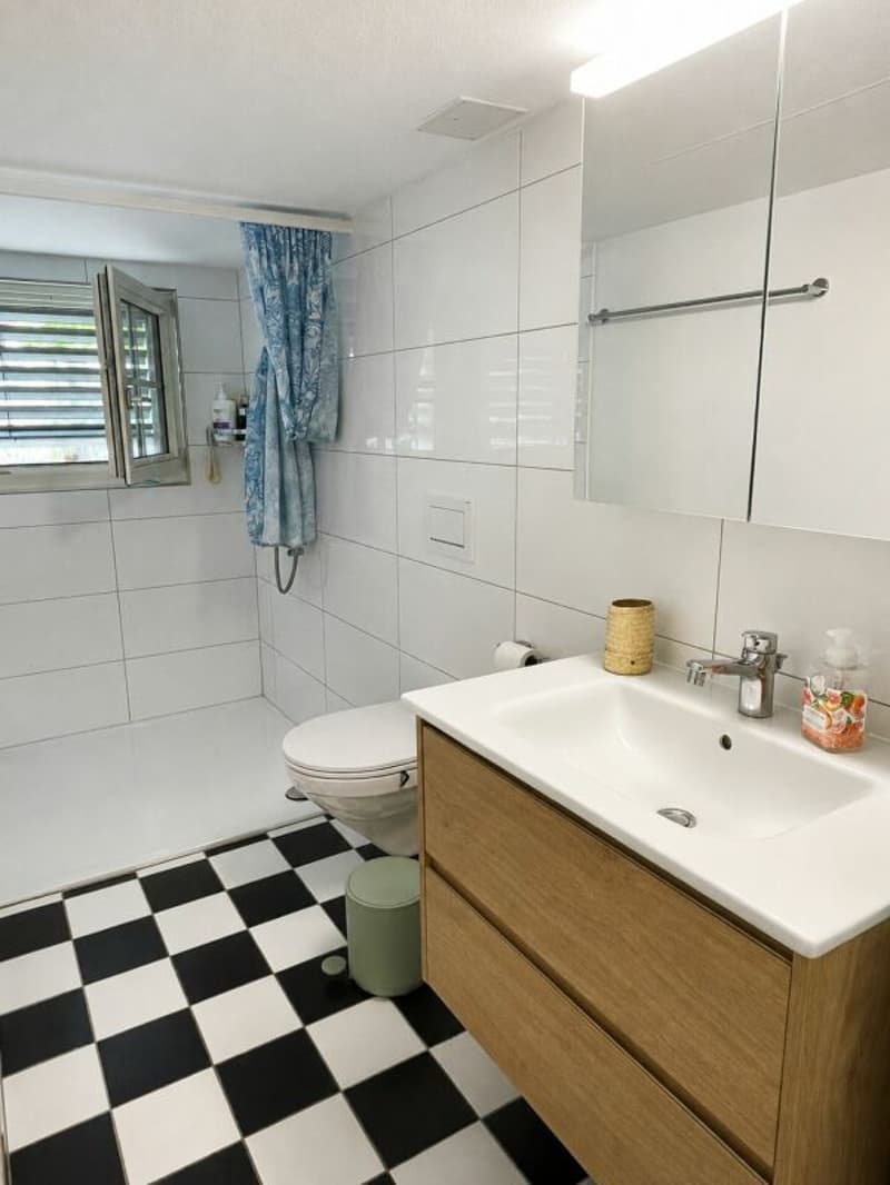 Totally renovated, stylish 3.5-room apartment in the center of Mogelsberg (4)