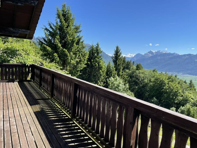 Ferienhaus mit traumhafter Zürichsee- und Alpensicht - 894 m² Grundstück (5)