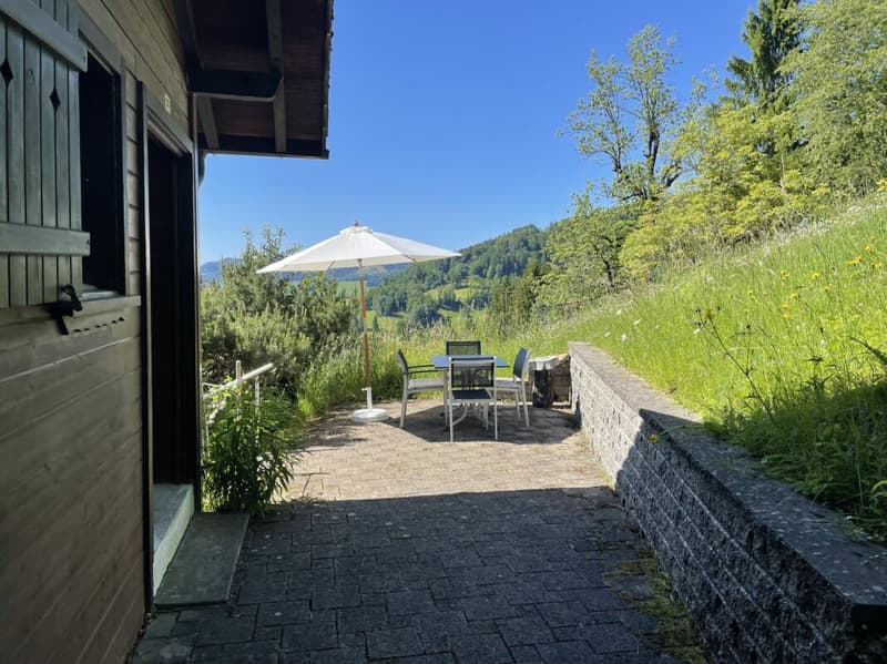 Ferienhaus mit traumhafter Zürichsee- und Alpensicht - 894 m² Grundstück (7)