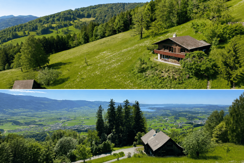 Ferienhaus mit traumhafter Zürichsee- und Alpensicht - 894 m² Grundstück (1)